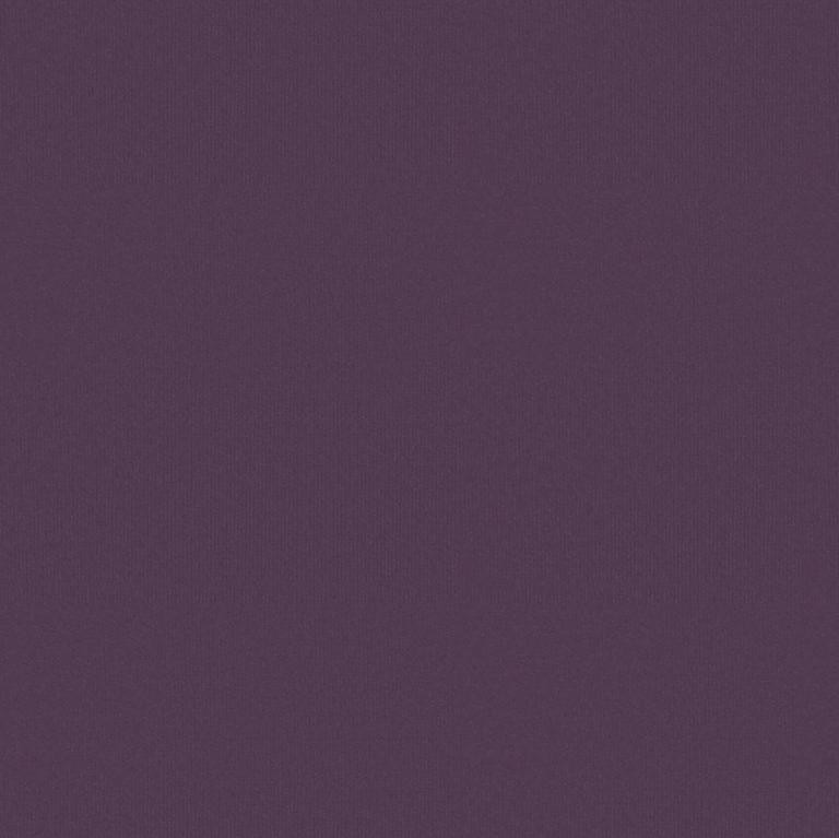 Велюр Джуси 24